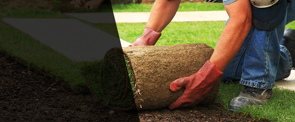Baltic Landscapers